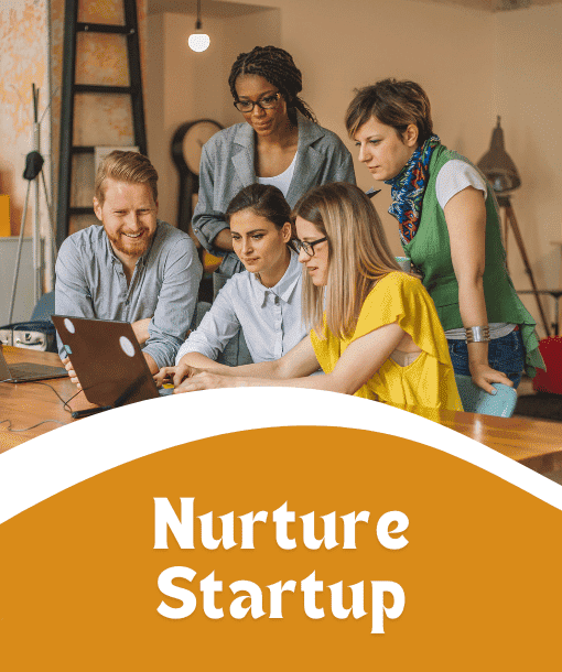 Nurture Startup